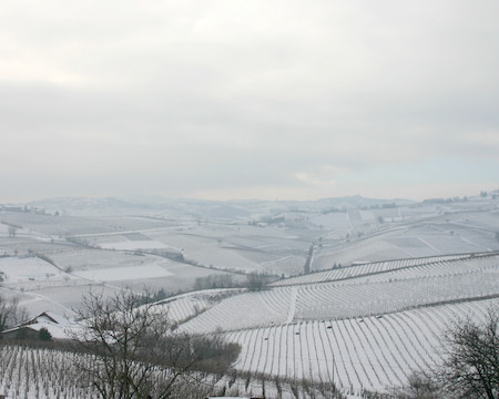 Il calendario e il desktop di febbraio di QP sono dedicati alle vigne del Monferrato sotto la neve