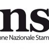 Marco Giovanelli è il nuovo presidente di ANSO