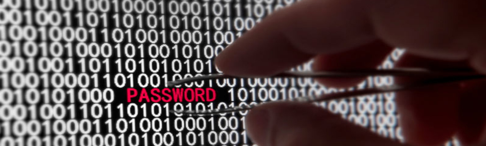 Cyber Security: i reati informatici più diffusi, una questione di consapevolezza