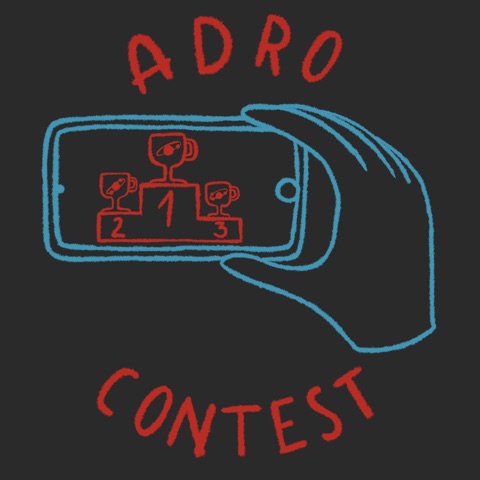INFN 2021 Adro Contest