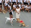 Anche Miss Italia contro l’abbandono dei cani