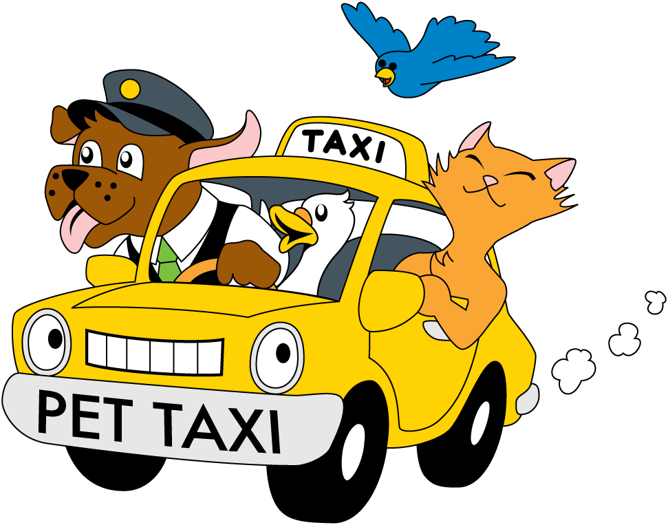 Arriva il servizio “pet-taxi”. Fido e Felix possono recarsi dal veterinario da soli… andata e ritorno