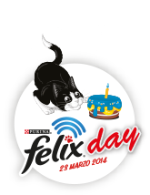 Felix Day. Concorso per maniaci del web e dei gatti