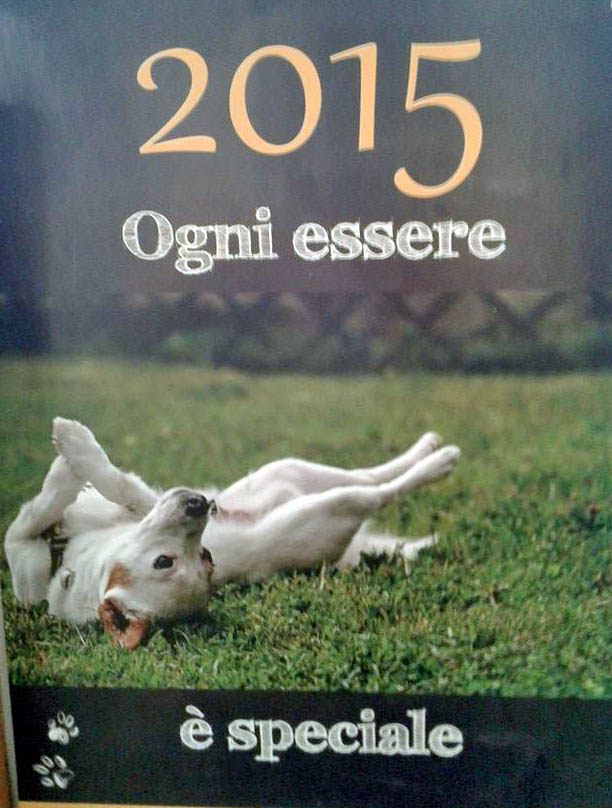 Il calendario 2015 si sfoglia con la solidarietà. La Lida di Alba-Bra propone 12 mesi… canini
