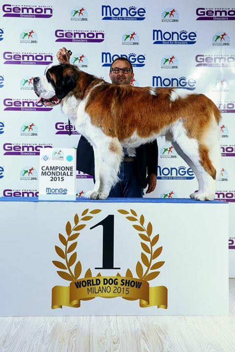 Al World Dog Show di Milano vincono 3 cani piemontesi