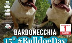 Centinaia di Bulldog inglesi attesi a Bardonecchia per il 15° #BULLDOGDAY solidale del C.A.B.I.