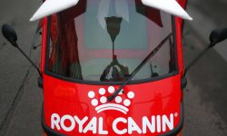 L’Ape Car di Royal Canin in giro per Torino a regalare buoni sconto e gadget