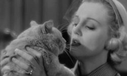 Non dire gatto… una sezione del #TFF35 dedicata ai mici