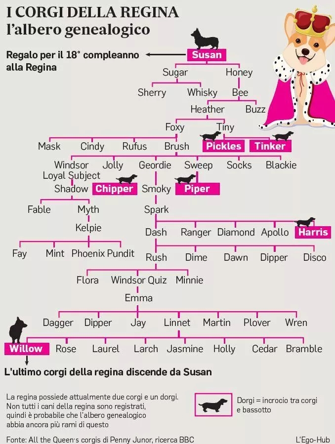 L’albero genealogico dei cani corgi della Regina Elisabetta