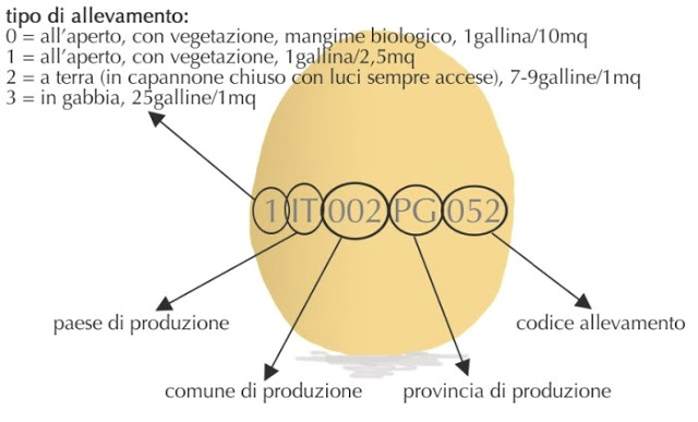 Anche l’Italia  compresa nello scandalo delle uova al fipronil: Come leggere il codice sulle uova