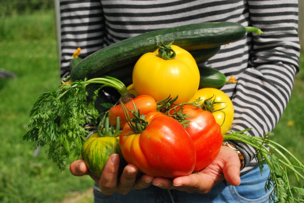 orticoltura giardinaggio