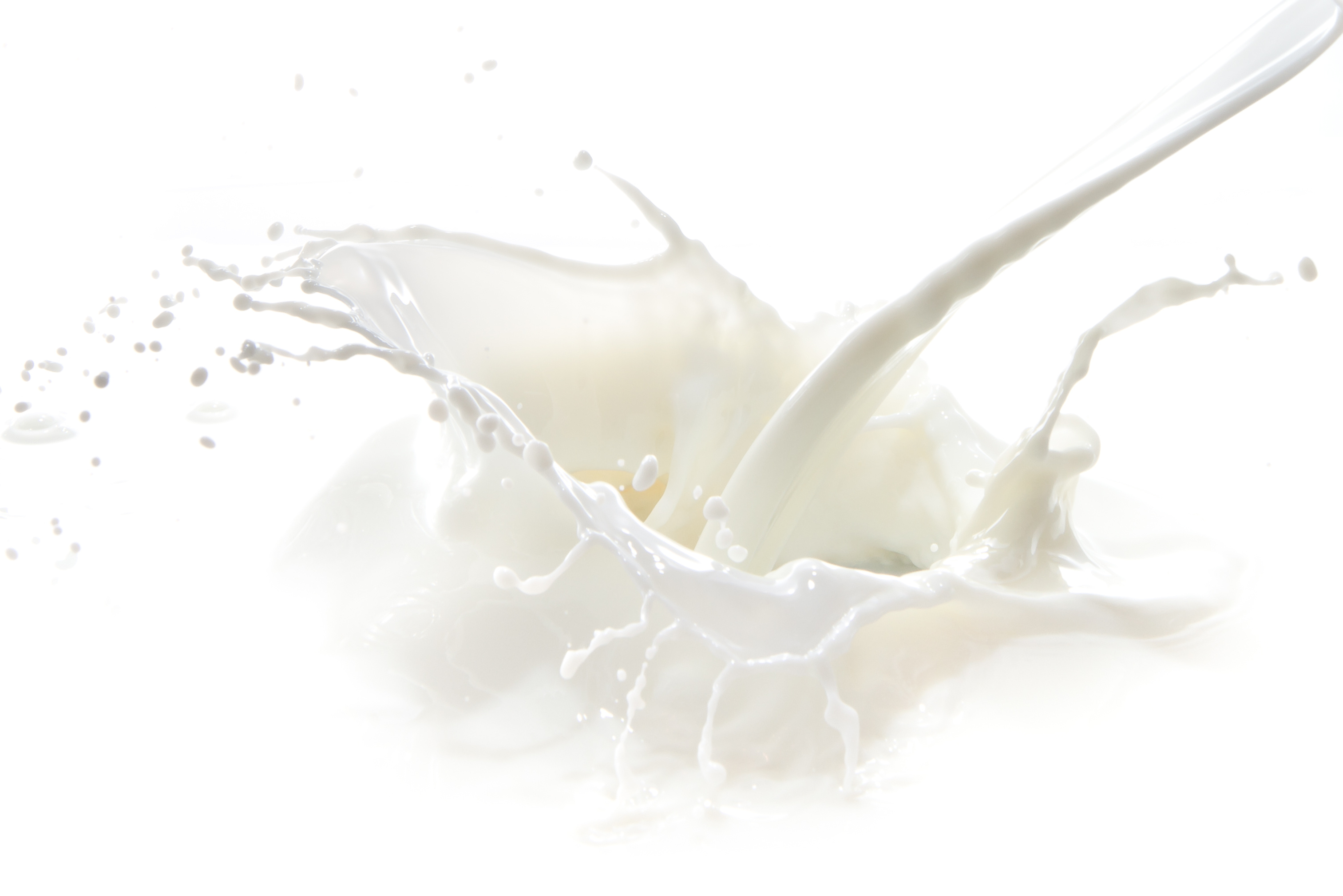 Il mondo agricolo e della cooperazione dall’assessore Giorgio Ferrero per parlare del prezzo del latte alla stalla