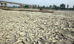 La drammatica situazione della siccità nel nordovest del Piemonte
