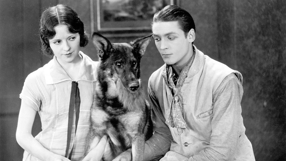 Cani e padroni insieme al Cinema Massimo per guardare Rin Tin Tin