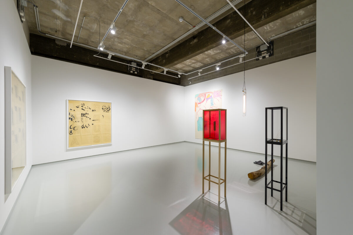 Griffa e Starling: dialoghi tra segni, oggetti e colori