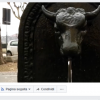 Come continuare a seguire Quotidiano Piemontese nonostante il nuovo algoritmo di Facebook
