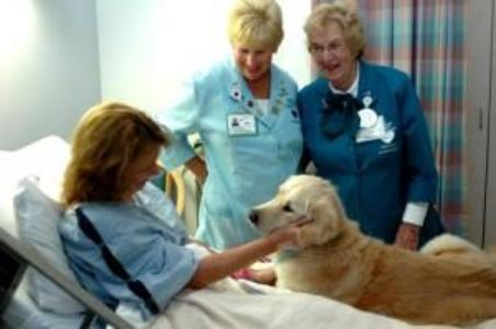 Ammessi in ospedale anche cani e gatti tra i visitatori