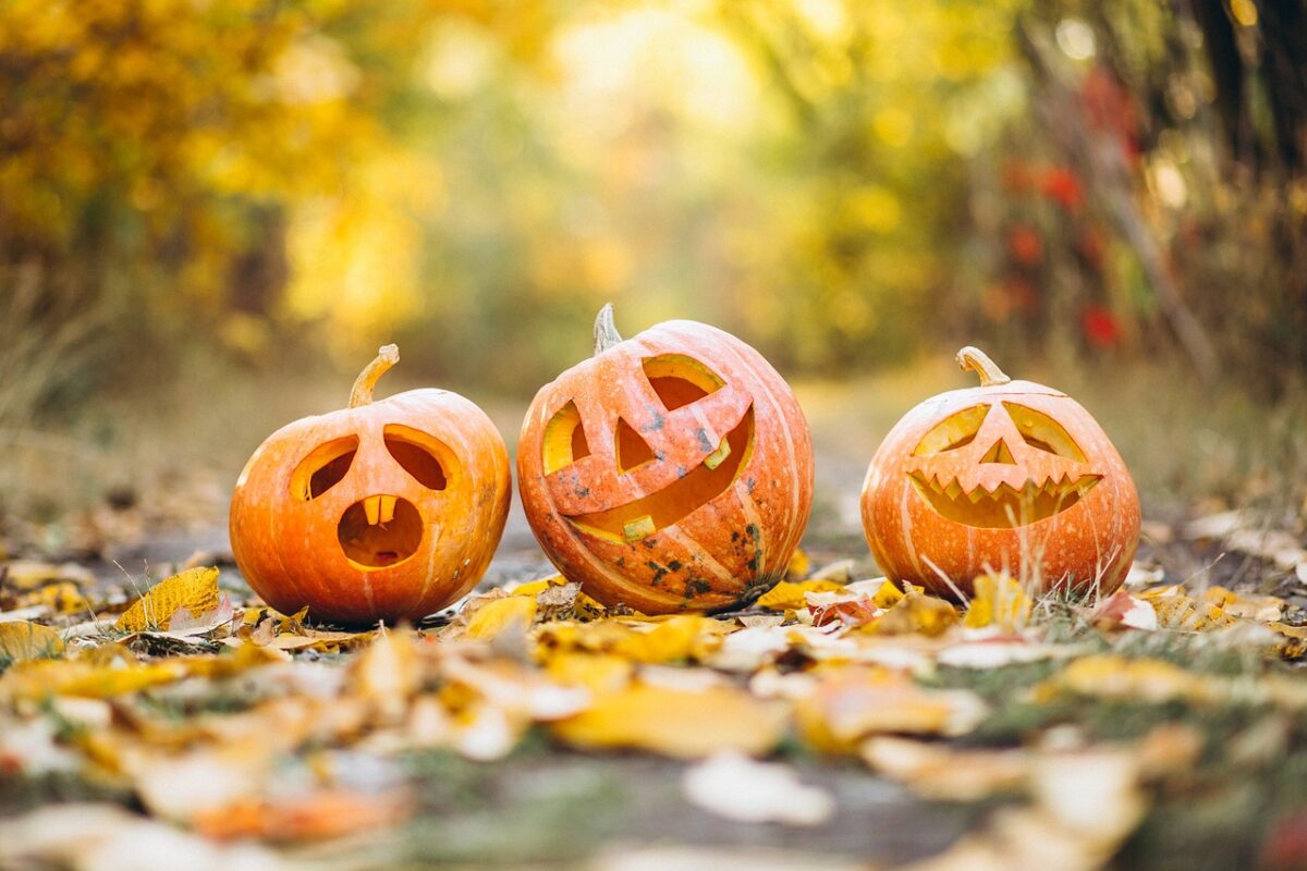 Halloween 2024 a Bussoleno: un’esperienza da brivido per grandi e piccini